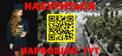 гашик Краснознаменск