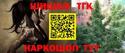 гашик Краснознаменск