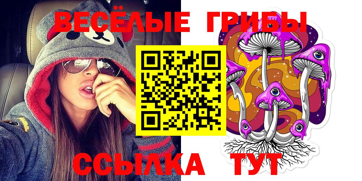 Галлюциногенные грибы GOLDEN TEACHER Калач-на-Дону
